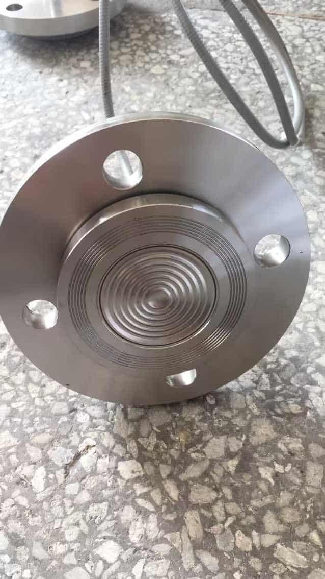 Process-wetted diaphragm of a DP level transmitter